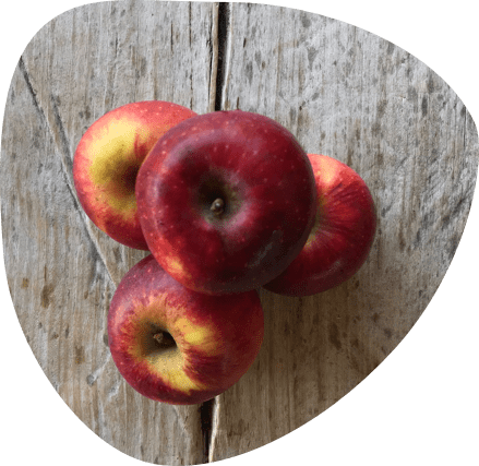 Pommes bio - fruits bio - Fort & Vert